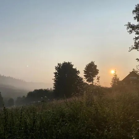 Morgentau Altenau (Lower-Saxony)