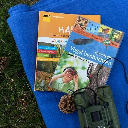 Διαμέρισμα Morgentau Altenau (Lower-Saxony)